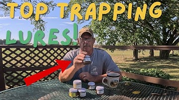 Top Trapping Lures In The United States #coyote #trapping #bobcat