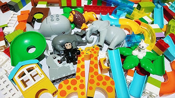 Satisfying Building Blocks Marble Run ASMR #285 Hippopotamus, Giraffe & other animals Funnel live 25