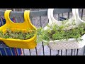 S KUMAR is live views kese bdaye#plants#gardeningideas#ytshorts