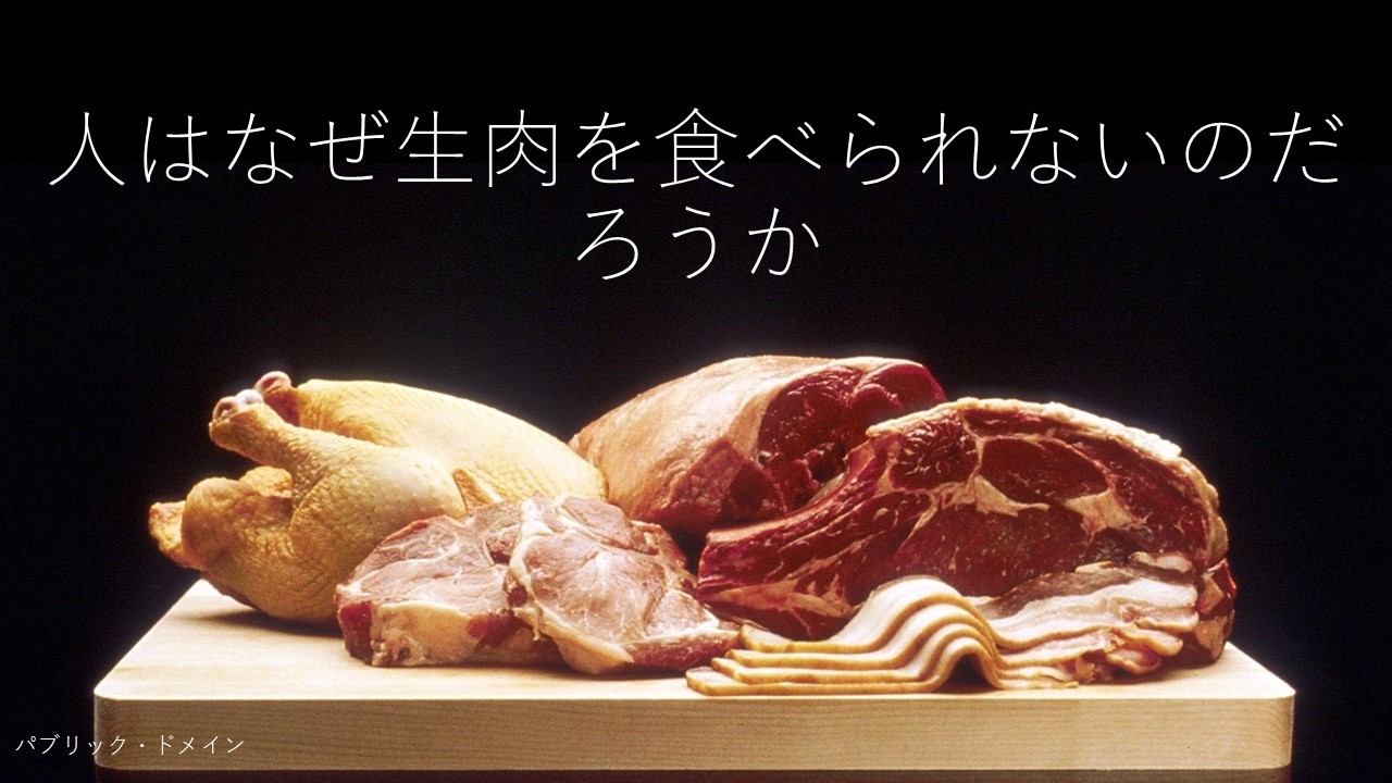 「人はなぜ生肉を食べられないのだろうか」（新小6　S・Sくん）