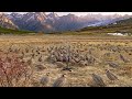 Ultra Powerful Mountain Trap | Perfect for Rocky Areas 