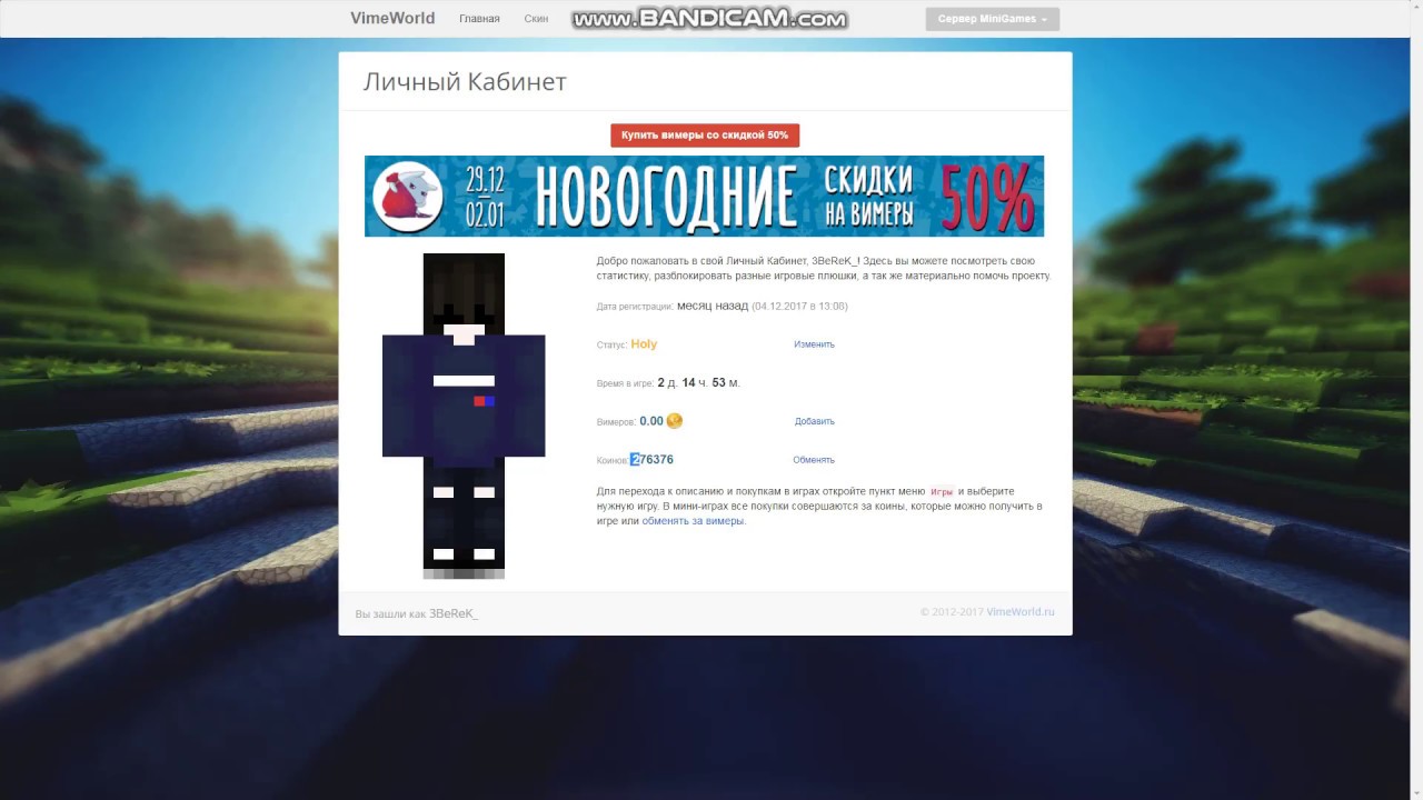 Холе ворлд донат. ВАЙМ ворлд. VIMEWORLD личный кабинет. ВИМЕРЫ ВАЙМ ворлд. ВАЙМ ворлд донат.