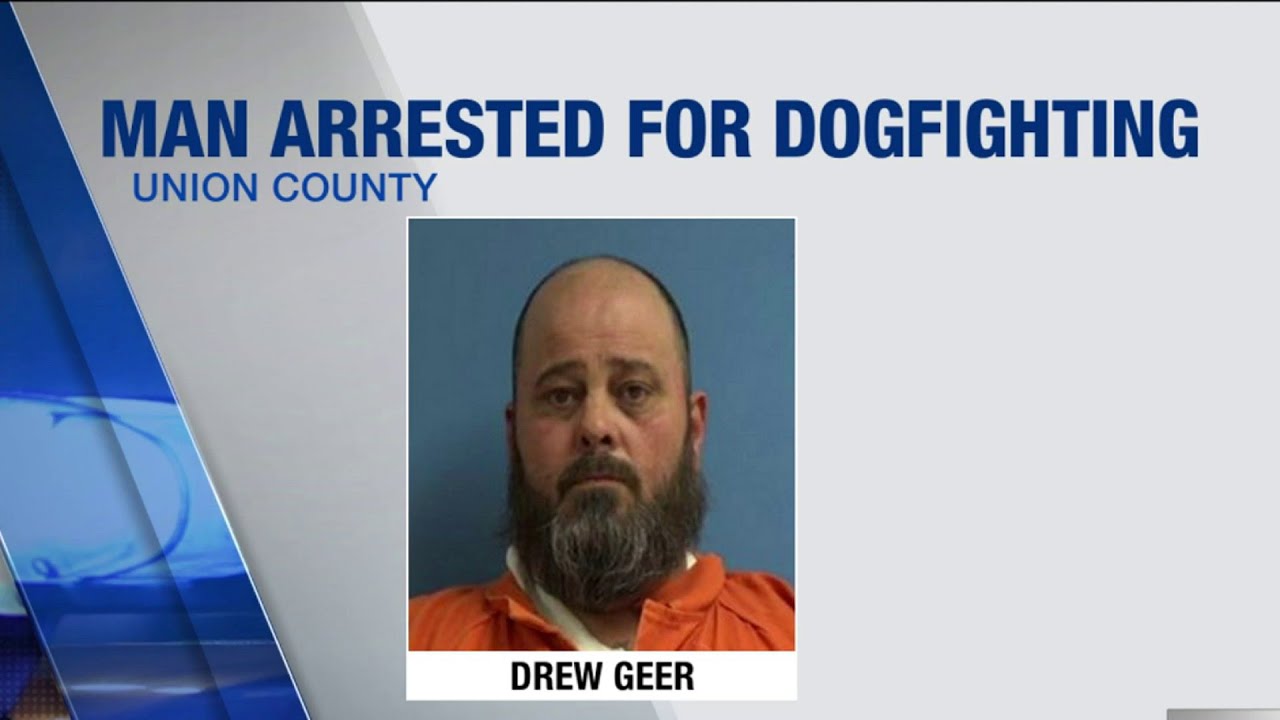 Man arrested after 40 dogs rescued from alleged dog-fighting operation in Union County