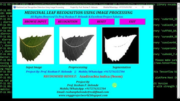 Medicinal Leaf Recognition Using CNN Image Processing Python Project With Source Code
