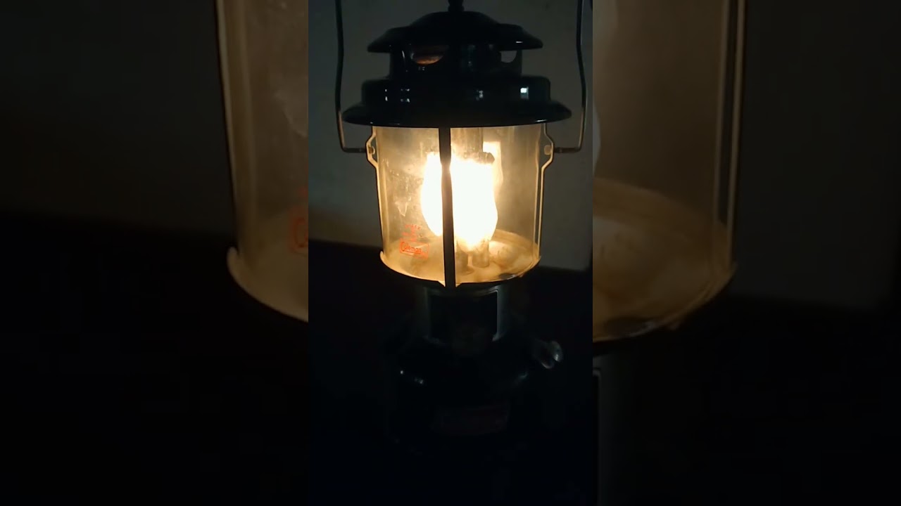 Vintage 1982 Coleman Double Mantle Gas Lantern Model 220 K Green Made in USA