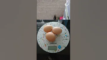 Сколько весит куриное яйцо