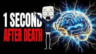 What Happens To Your Body 1 Second After You Die?