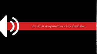 20131202 Flushing Toilet ZoomH 2nXY SOUND Effect
