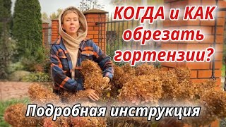 картинка: Запутались, когда и как обрезать гортензии? Посмотрите эту инструкцию