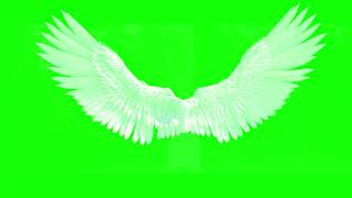 Футажи для видеомонтажа Крылья ангела Angel Wings Green Screen