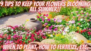 How to Grow HUGE Flowers ALL Summer Long