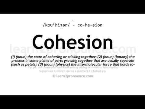 Pronunciation of Cohesion | Definition of Cohesion