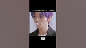 이리노이기 때문이다 #straykids #리노