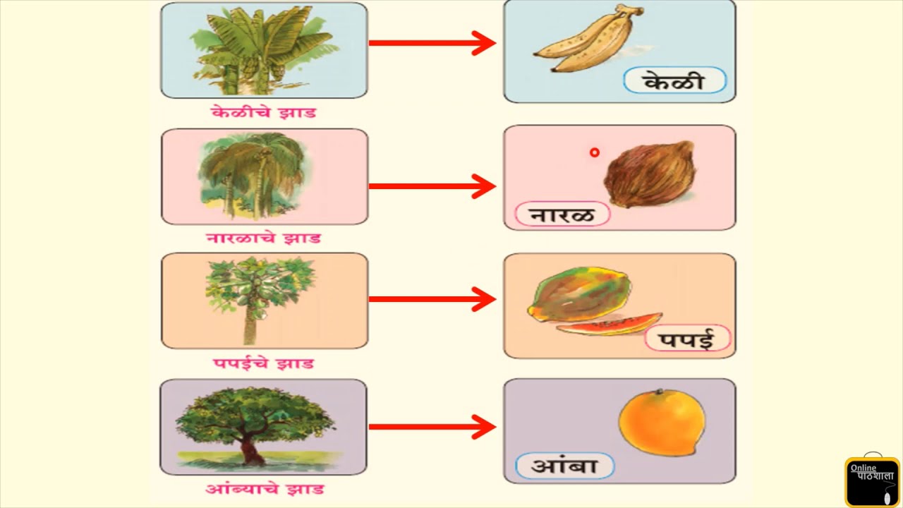 Std:1st State Board English medium Marathi lesson 16. Olakh Phalanchi
