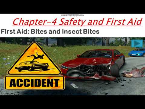 What to do if a dog bites you? First Aid for Insects bite and Dog bite.