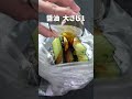 さっぱりやみつき夏にピッタリ◎ごまダレ漬けヒラヒラきゅうり【今日のあと一品】【副菜レシピ】#shorts