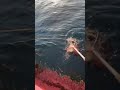 きたぁあああぁあああああああ!!!!!!!!