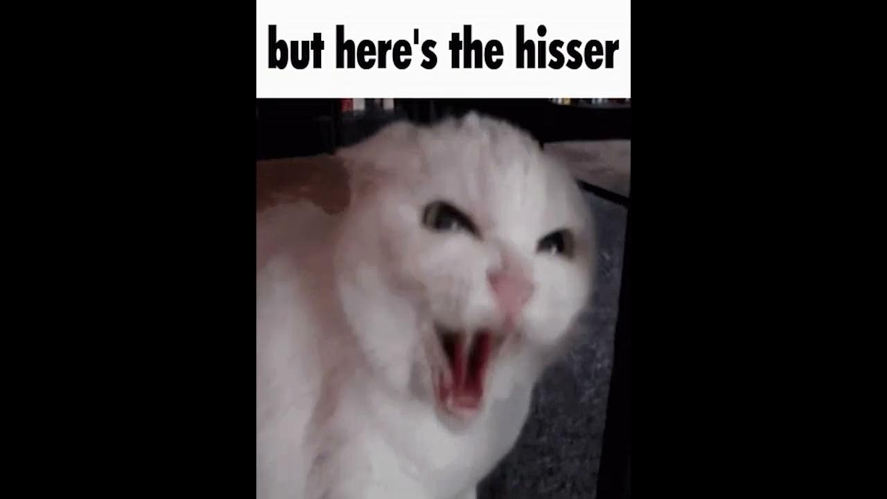 But here s the youtube