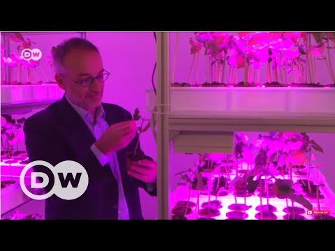 Video: Bitkiler Insanları Nasıl Etkiler