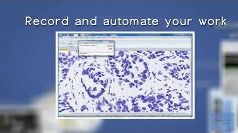 Video Introduction to Image Pro Premier Image Analysis Software