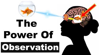 The Power Of Observation. IF