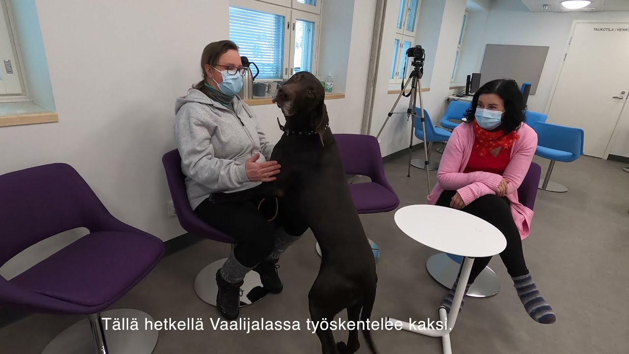 Koira-avusteisuus on tärkeää toimintaa Kompassissa!