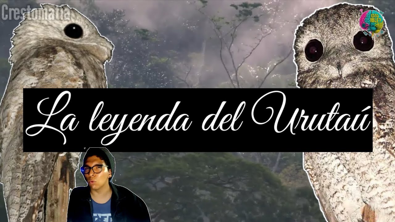 ANIMALES QUE PRODUCEN RUIDOS EXTRAÑOS| LA LEYENDA DEL URUTAU (PÁJARO FANTASMA)🐦👻