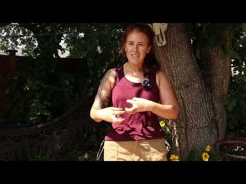 Your Soil Is Choking Plants Here S How To Save Them 