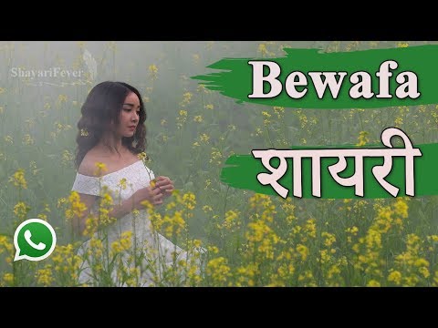 Bewafa Shayari For Boyfriend In Hindi By Girl (2019) | Bewafa WhatsApp Video Status
