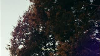 sød ven - state of mind (lyric video)