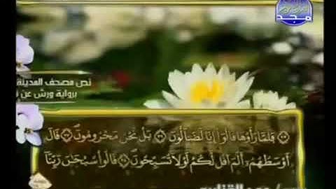 الجزء التاسع والعشرون من القرآن الكريم بصوت الشيخ عمر القزابري