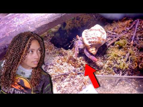 NEW PET Preparation - Beginning To End