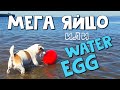 А ВЫ ЗНАЕТЕ что ЯЙЦОм для собак MEGA EGG/JOLLY EGG можно играть в воде?ЛАЙФХАК по использованию яйца