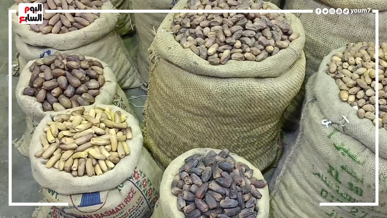 التمور على كل شكل ولون.. شاهد موسم الخير في سوق العبور قبل رمضان