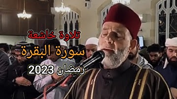عبقري التلاوة الشيخ حسن صالح في واحدة من أروع وأجمل تلاوات  - رمضان 2023