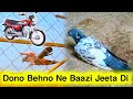 Dono behno ne baazi jeeta di  dono cup me number 1 ane wali chat  pigeons club