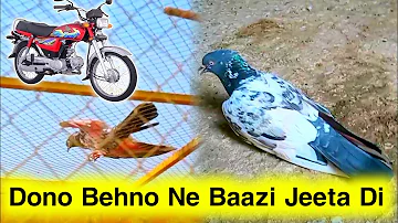 Dono Behno Ne Baazi Jeeta Di 💪 Dono Cup Me Number 1 Ane Wali Chat | Pigeons Club