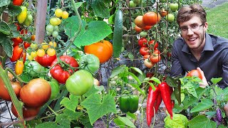 Garden Harvest Compilation 4