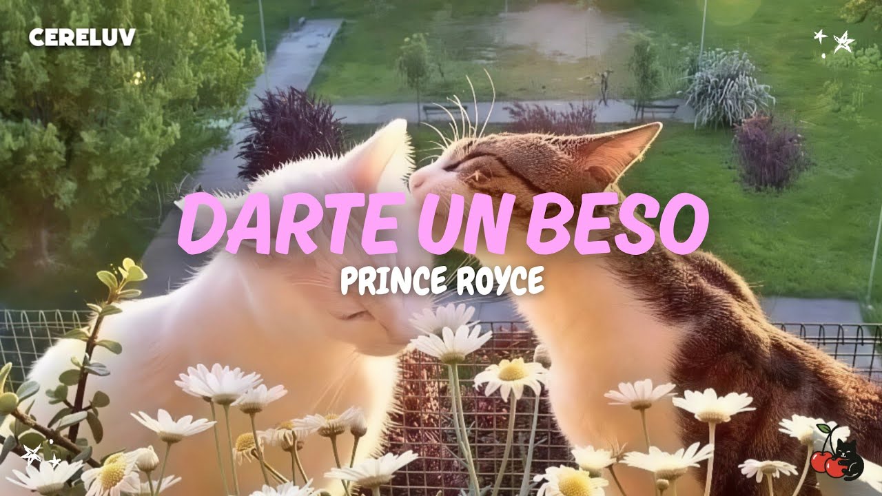 Prince Royce - Darte Un Beso (Letra)