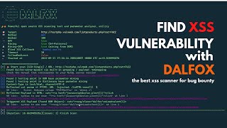 Dalfox XSS Automation Scanner for Bug Bounty | Security Awareness