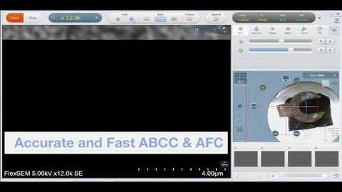 FlexSEM 1000: AFC & ABCC Speed in Real Time
