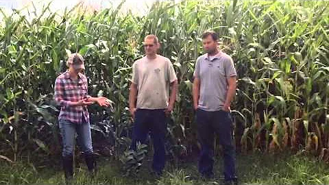 Increasing Cover Crop Adoption in Northwest Wiscon...