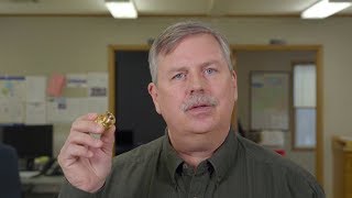 The Backflow Winterization Process