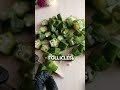 How to make okra gel for hair growth. #hairgrowth #hairloss #okragel#okroforhair  #hairgrowthtips