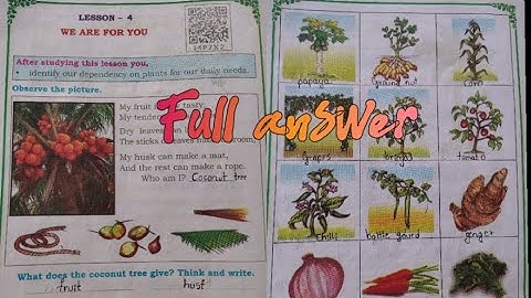 ||class 2 EVS|| lesson -4 We are for you||#education #class2 #class2evs