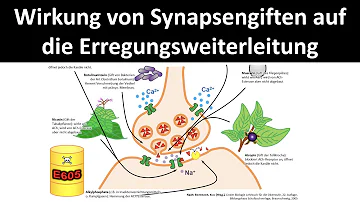 Was gibt es für Synapsengifte?