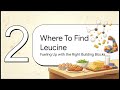 The Master Switch for Muscle Growth! 🧱💪 (Leucine Explained)