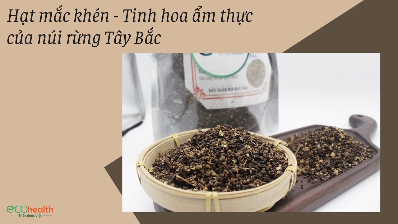 lá mắc khén 2022 Update Hạt mắc khén - Tinh hoa ẩm thực của núi rừng Tây Bắc