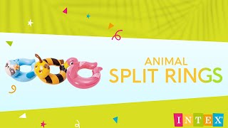 INTEX® Animal Split Rings