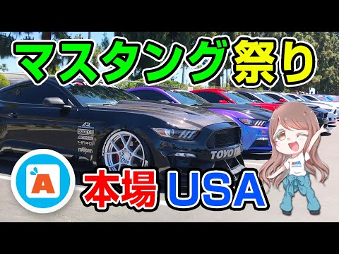 ★ア本場USAのマスタング市場★カリフォルニアのナッツベリーファームPにてフォードのカーショーがヤバい♪